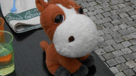 "Overdoses" of homoeopathic preparations in Brno "Overdoses" of homoeopathic preparations in Brno